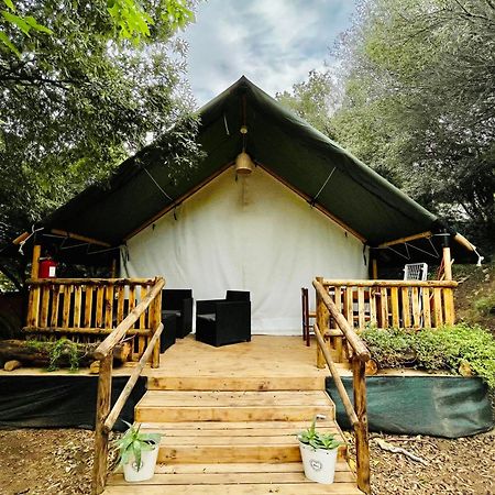 New Camping Coccorrocci Marina di Gairo Εξωτερικό φωτογραφία