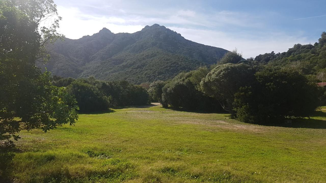 New Camping Coccorrocci Marina di Gairo Εξωτερικό φωτογραφία