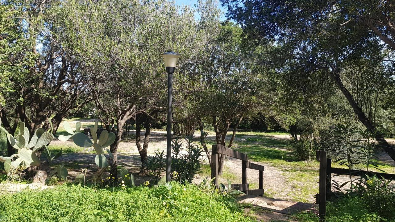 New Camping Coccorrocci Marina di Gairo Εξωτερικό φωτογραφία