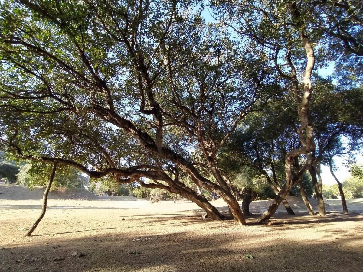 New Camping Coccorrocci Marina di Gairo Εξωτερικό φωτογραφία