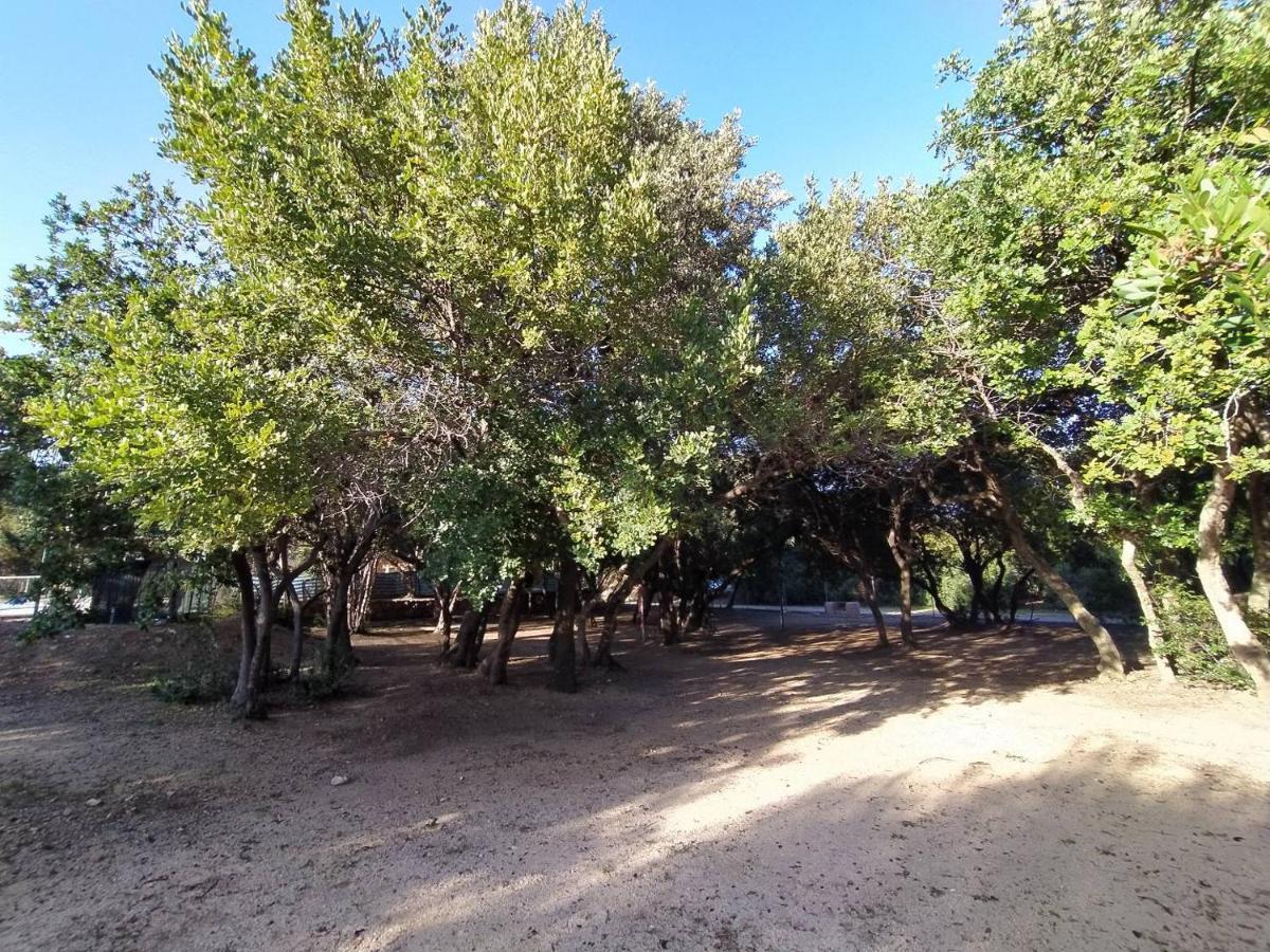 New Camping Coccorrocci Marina di Gairo Εξωτερικό φωτογραφία