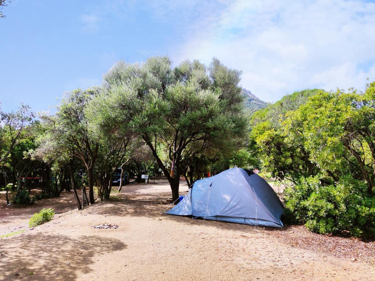 New Camping Coccorrocci Marina di Gairo Εξωτερικό φωτογραφία