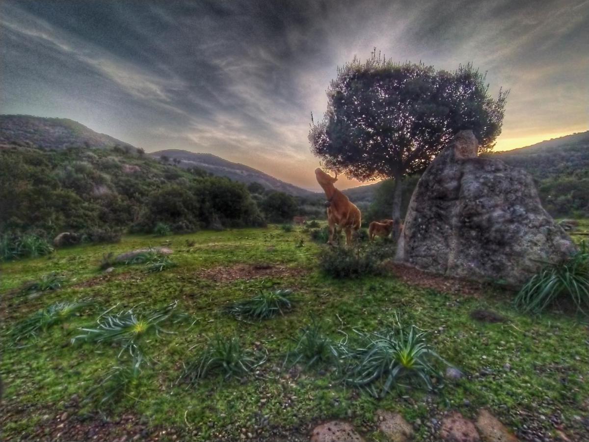 New Camping Coccorrocci Marina di Gairo Εξωτερικό φωτογραφία
