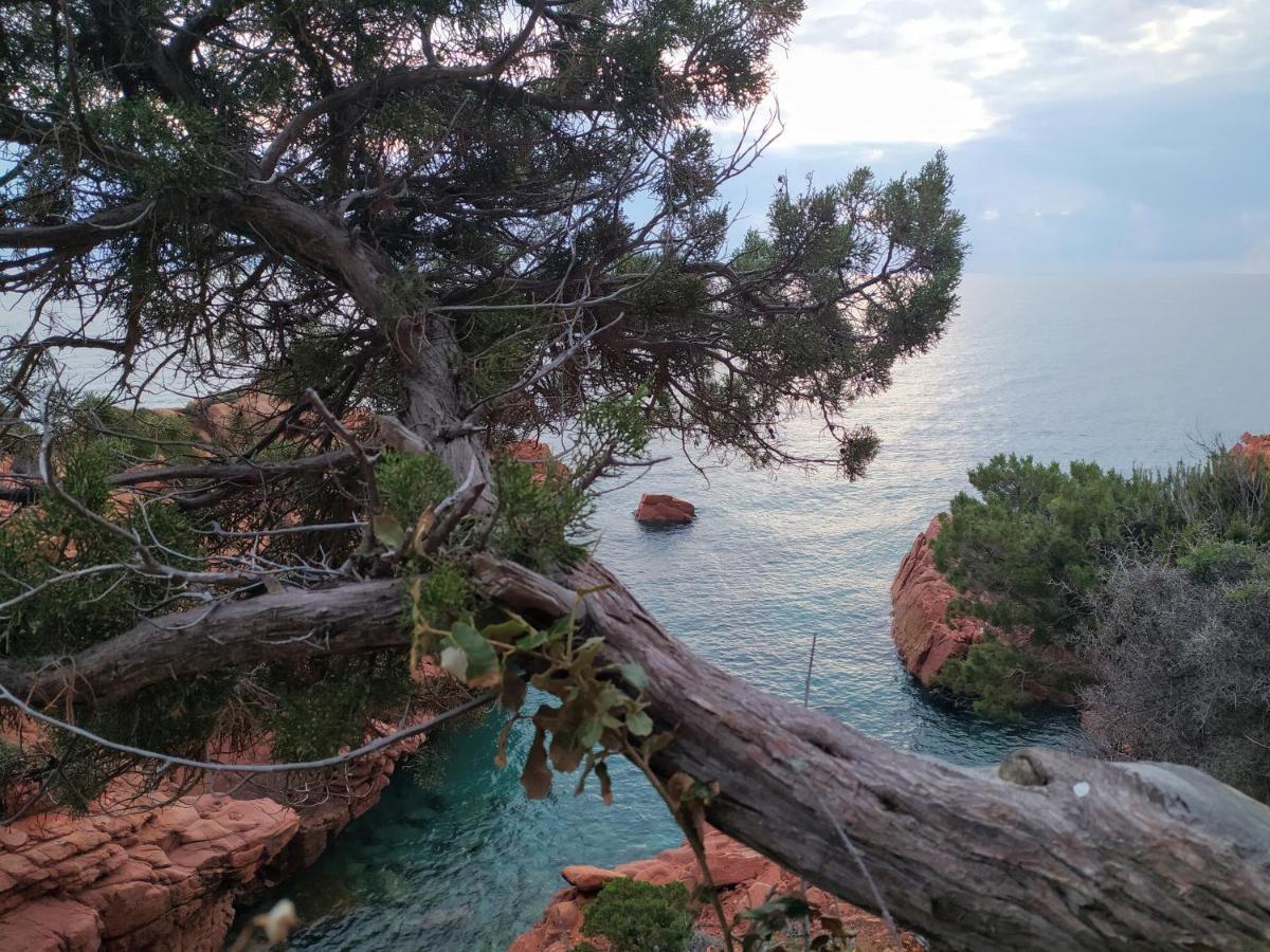New Camping Coccorrocci Marina di Gairo Εξωτερικό φωτογραφία