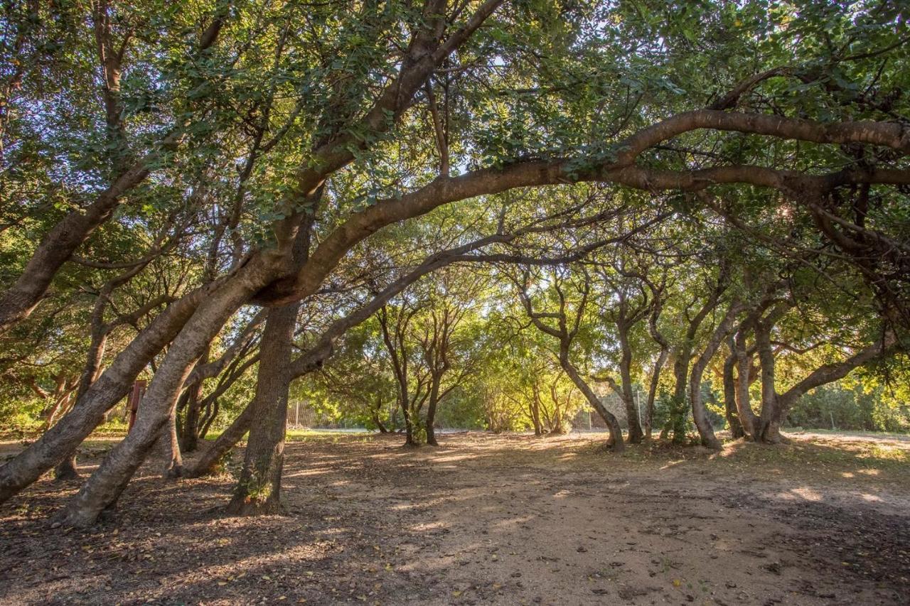 New Camping Coccorrocci Marina di Gairo Εξωτερικό φωτογραφία