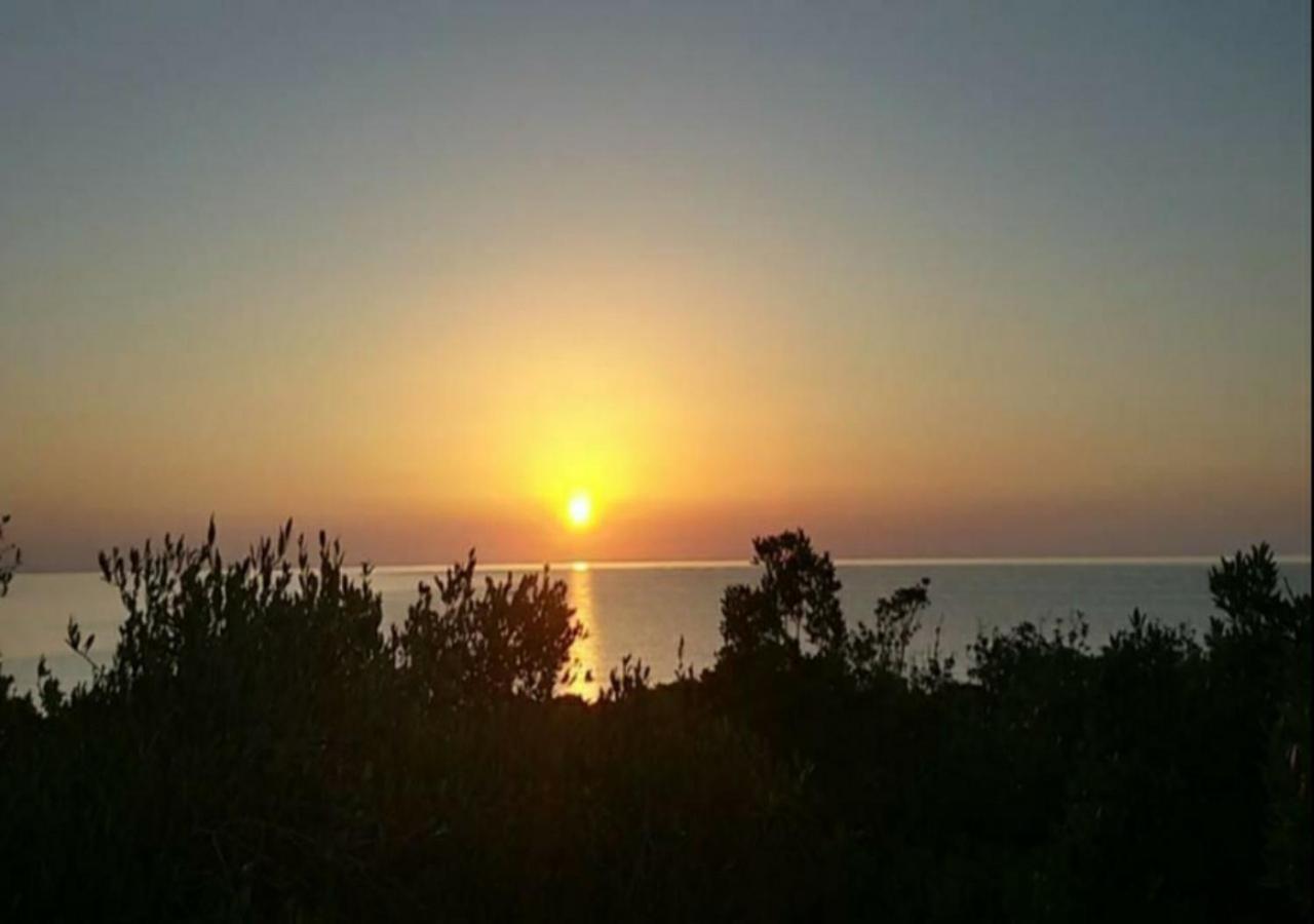 New Camping Coccorrocci Marina di Gairo Εξωτερικό φωτογραφία