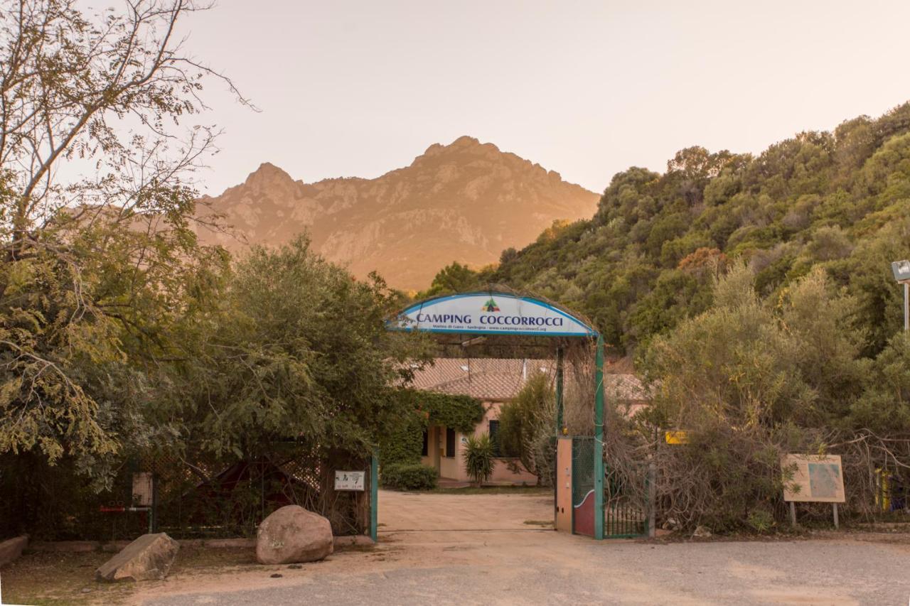 New Camping Coccorrocci Marina di Gairo Εξωτερικό φωτογραφία
