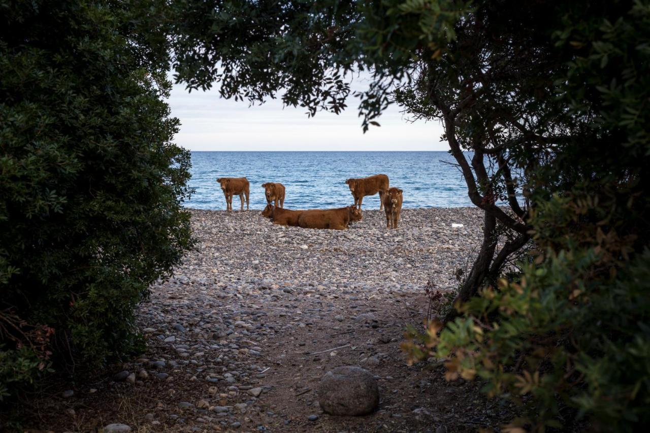 New Camping Coccorrocci Marina di Gairo Εξωτερικό φωτογραφία